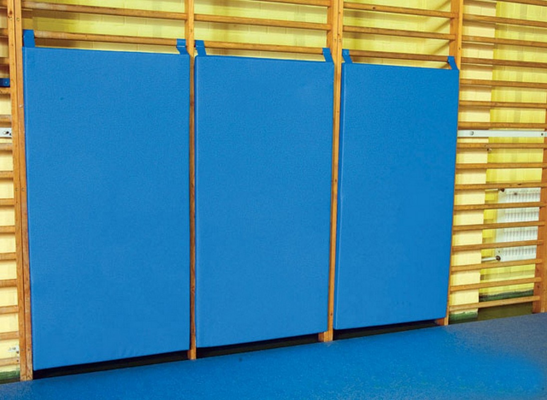 Мат-протектор для стенки гимнастической ФСИ 164х82х6 см, тент, 5282