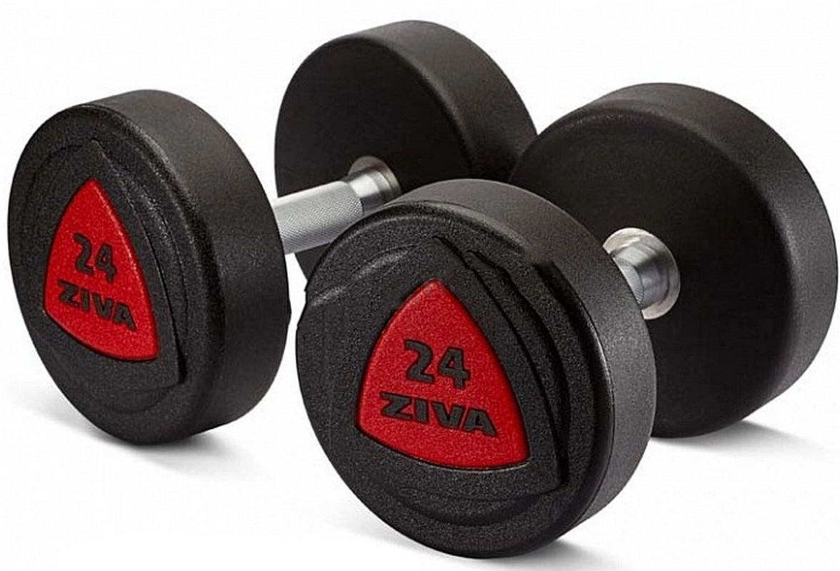 Набор из 5 пар обрезиненных гантелей 42-50 кг (шаг 2 кг) Ziva серии ZVO ZVO-DBPU-1005 красная вставка